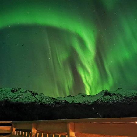 Unique And Charming House At The Foot Of Lofoten'S Highest Mountain Свольвер Экстерьер фото