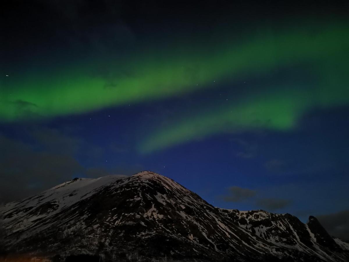 Unique And Charming House At The Foot Of Lofoten'S Highest Mountain Свольвер Экстерьер фото
