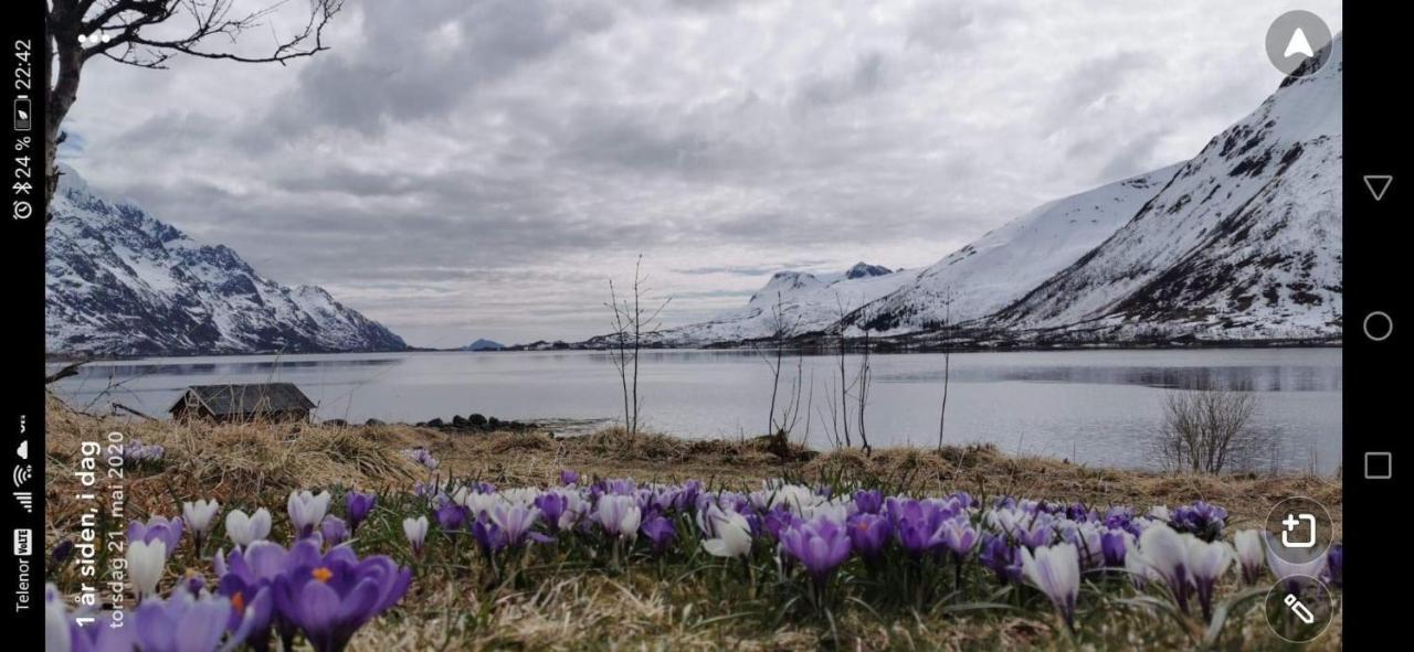 Unique And Charming House At The Foot Of Lofoten'S Highest Mountain Свольвер Экстерьер фото